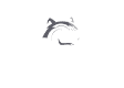 logo-1